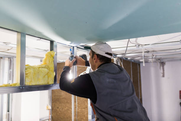 Best Cellulose Insulation in Knollwood, IL