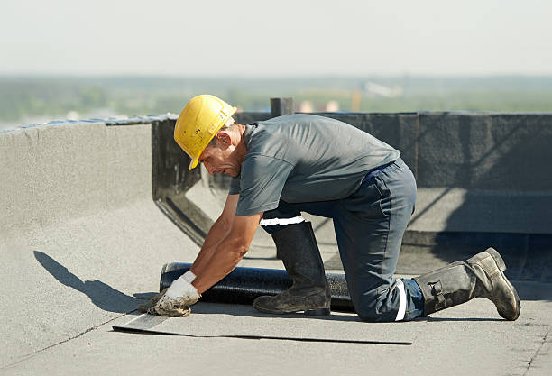 Best Commercial Insulation in Knollwood, IL