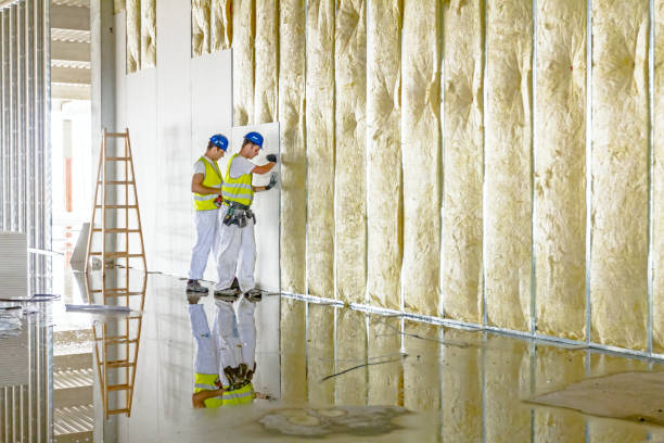 Best Geographic-Specific Insulation Services in Knollwood, IL
